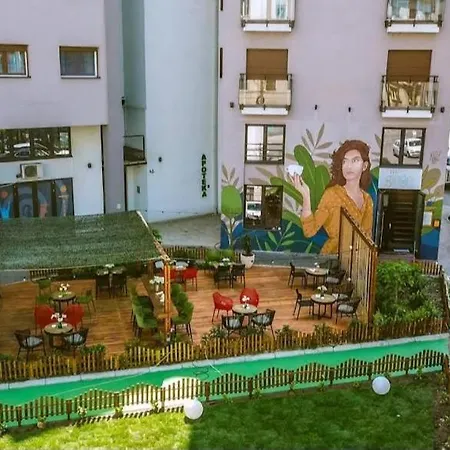 New Dorcol Ginger * Belgrade
