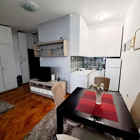 New Dorcol Ginger Belgrade