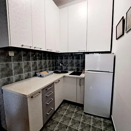 New Dorcol Ginger * Belgrade