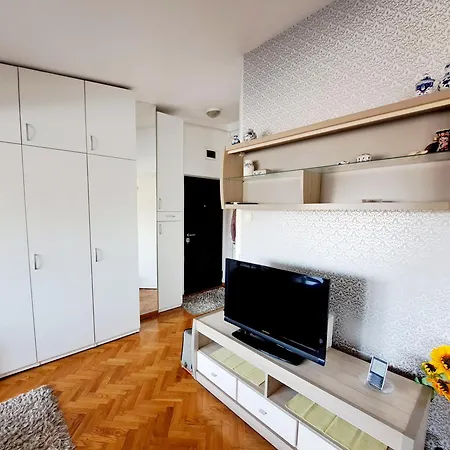 New Dorcol Ginger * Belgrade